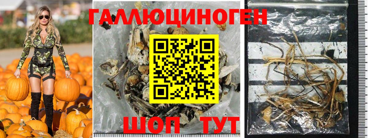 Псилоцибиновые грибы прущие грибы Новосибирск